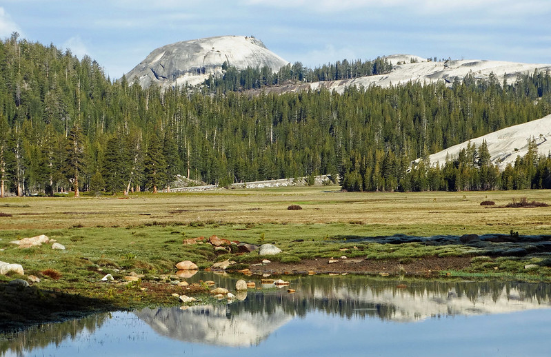 Tuolumne Meadows