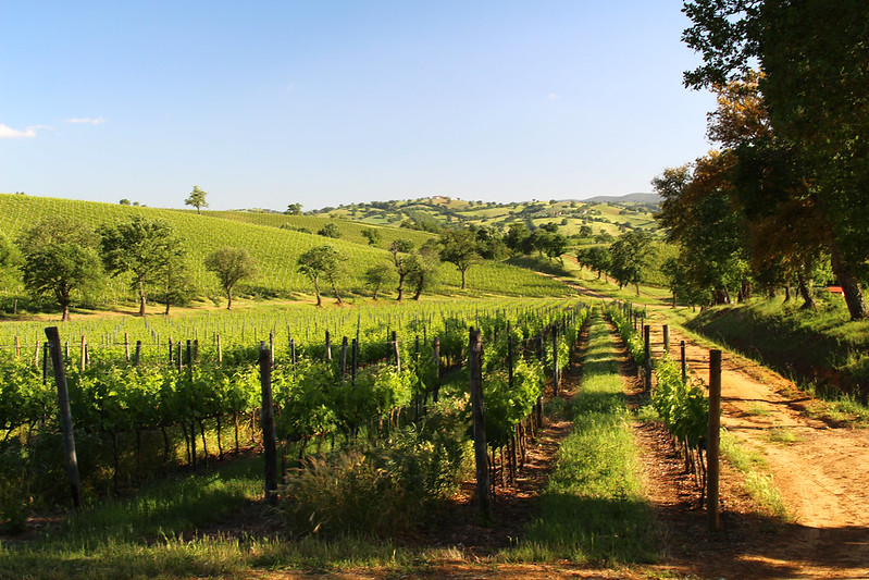 Tuscany