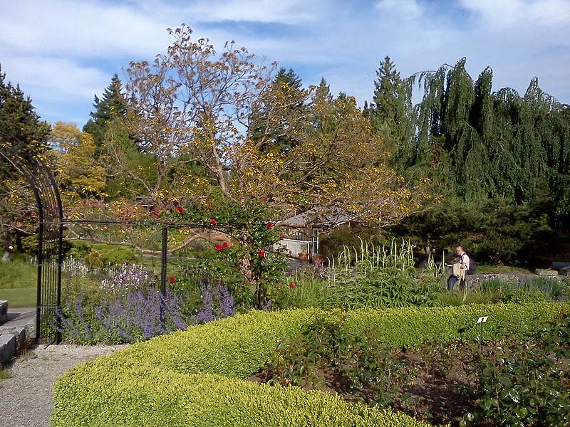 Van Dusen Botanical Garden