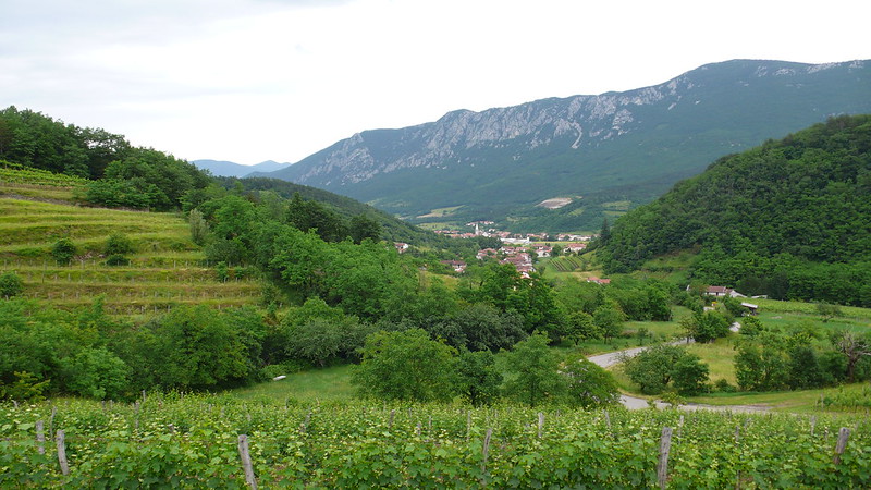 Vipava Valley, Slovenia: Cycling Through Vineyards and Private Cellars
