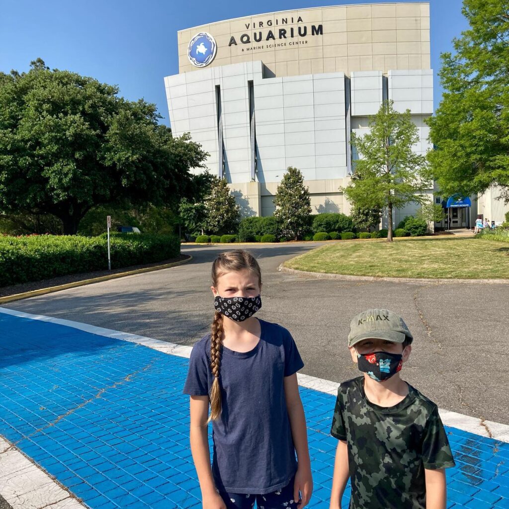 Visit the Virginia Aquarium & Marine Science Center.