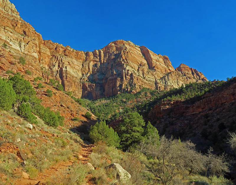 Watchman Trail