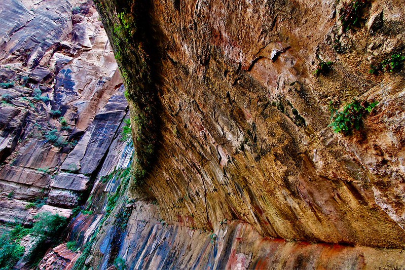 Weeping Rock: A Short and Refreshing Walk