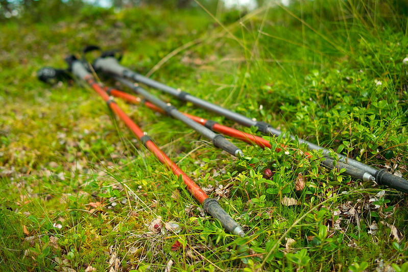 What to Pack for Hiking in Mount Rainier National Park