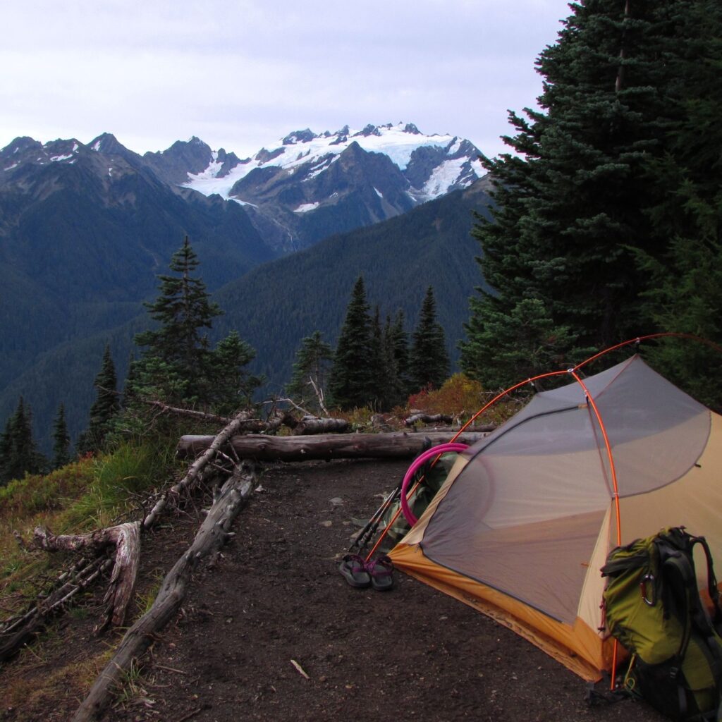Where to Camp in Olympic National Park