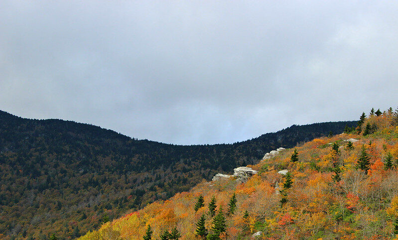 Why We Drive the Blue Ridge Parkway – A Picture Essay