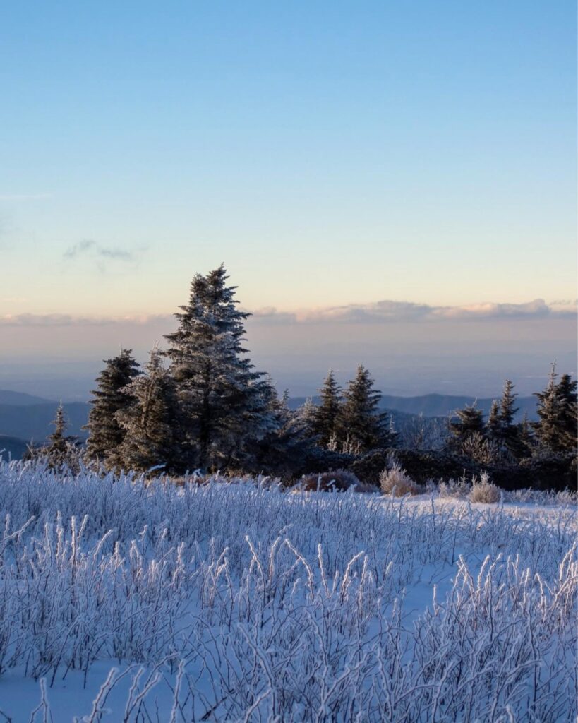 Winter in Asheville: Things to do During the Chillier Months