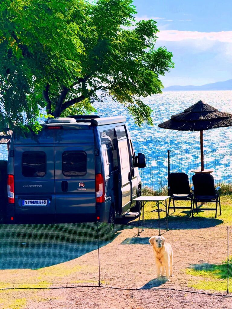 Yellowstone as a Camping Destination With Dogs