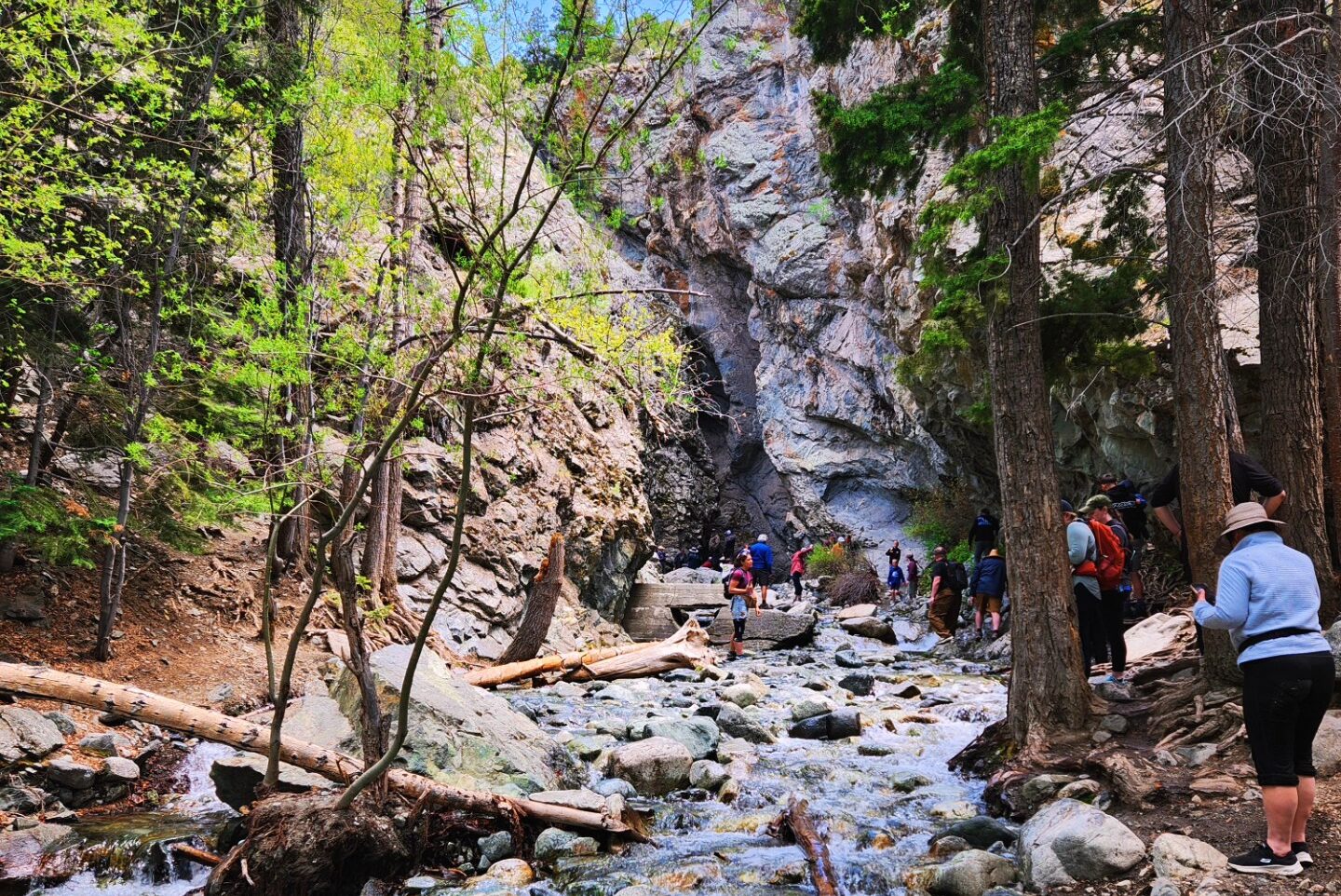 Zapata Falls 2