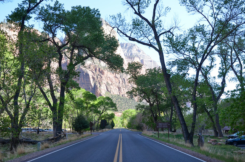 Zion Canyon Road