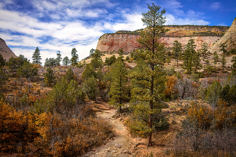 Zion National Park A Guide to Utah’s First National Park and Its Stunning Trails