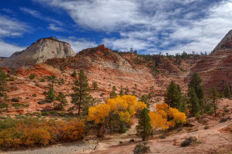 Zion National Park in Fall