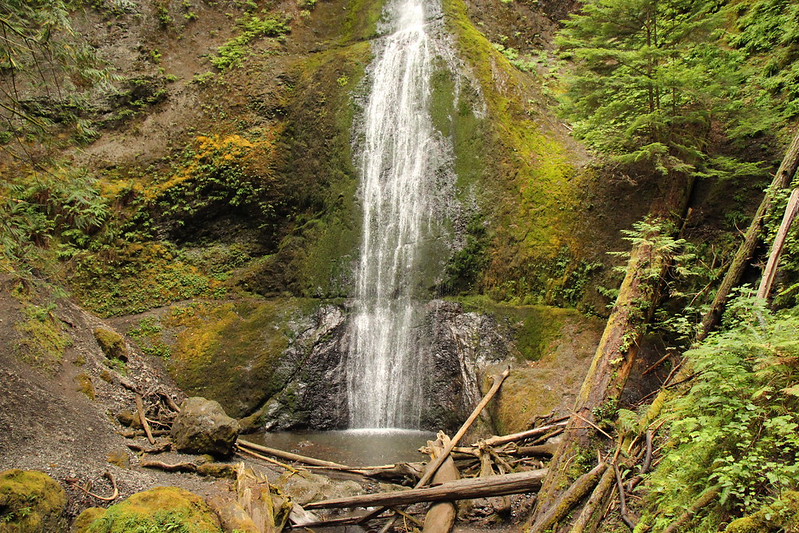 best hikes in Olympic National Park