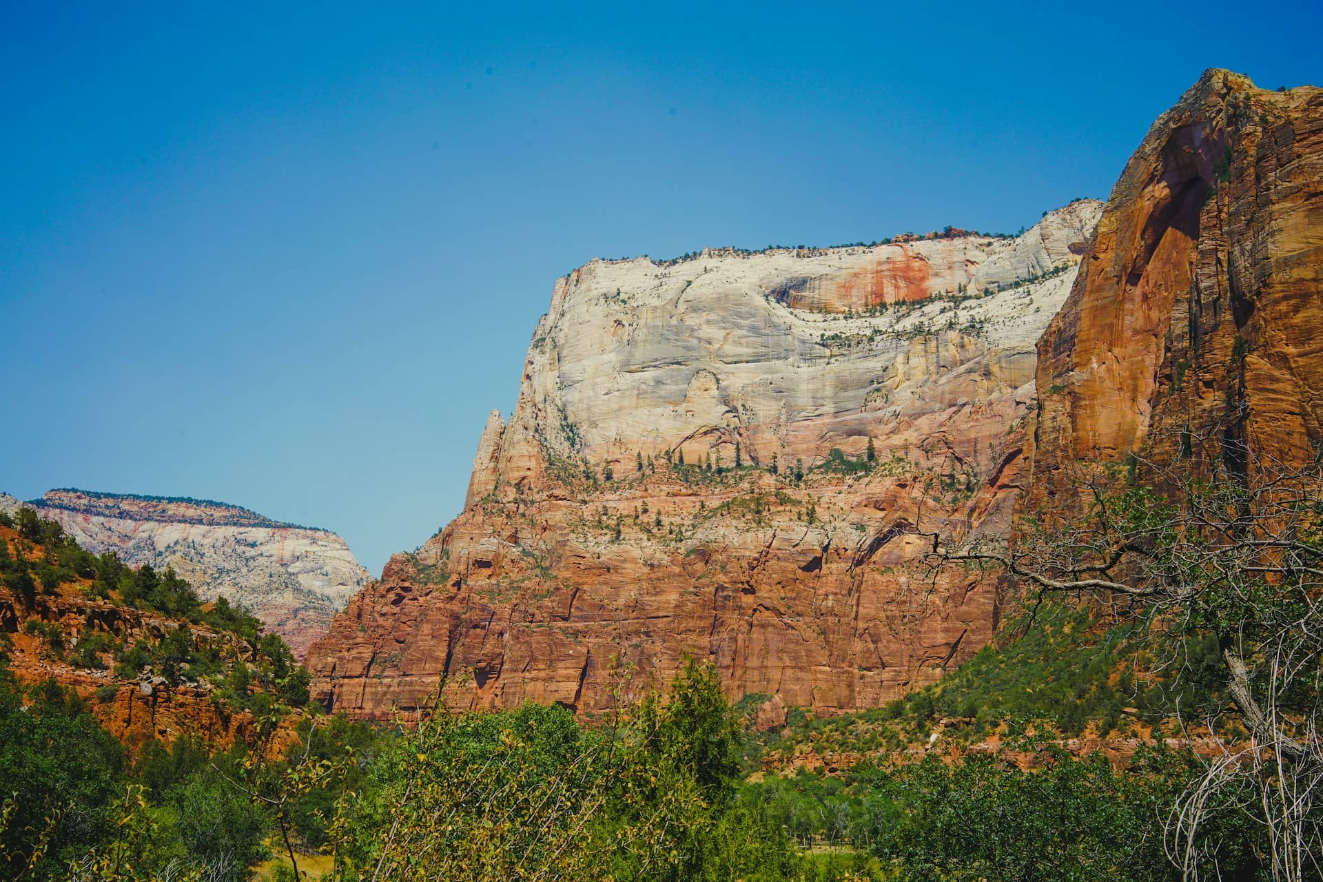things to do in zion national park with kids