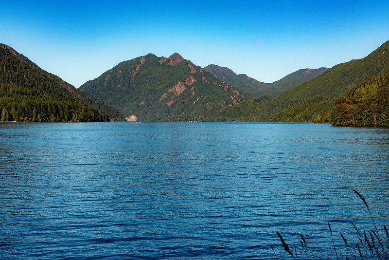 where to stay in olympic national park