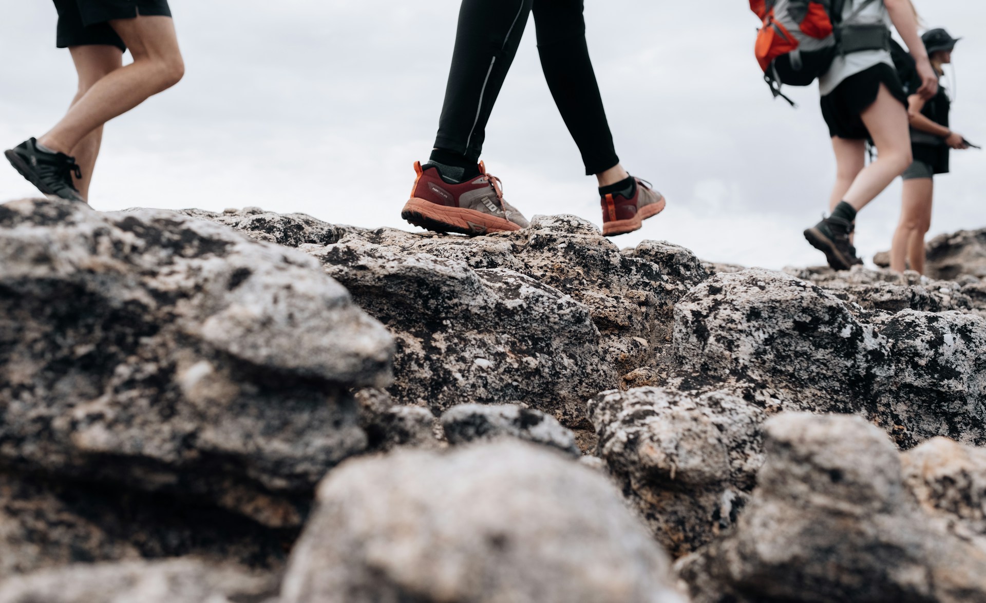 Best Hiking Poles for Women, Men & Seniors Durable & Comfortable Trekking Sticks for Every Adventure