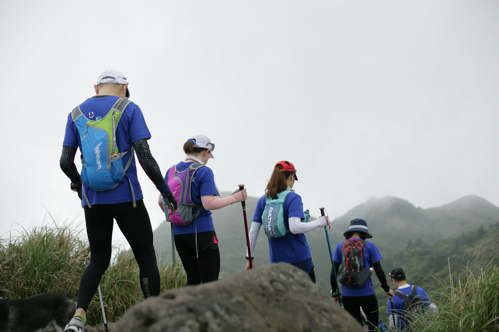 Best Hiking Poles for Women, Men & Seniors Durable & Comfortable Trekking Sticks for Every Adventure