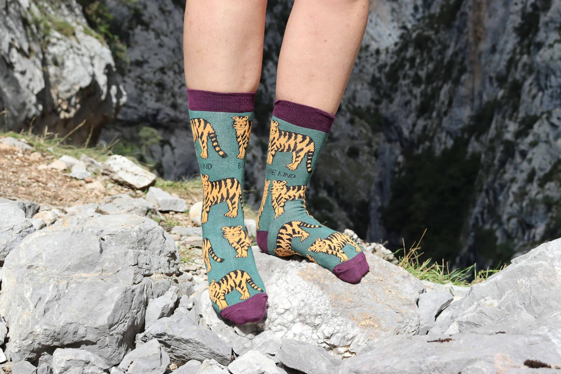 Best Hiking Socks for Women & Men to Prevent Blisters in Every Weather