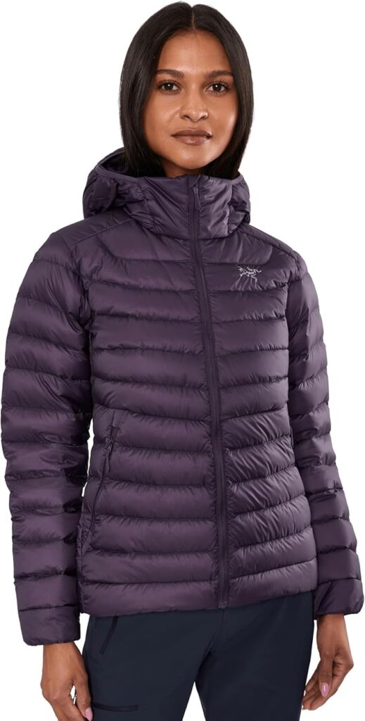 Arc'teryx Cerium LT Hoodie