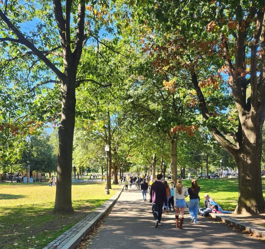 Boston Common