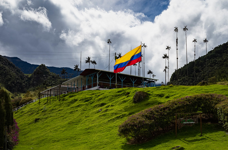 Cocora Valley, Colombia