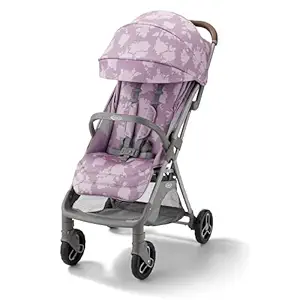 Graco Ready2Jet Stroller