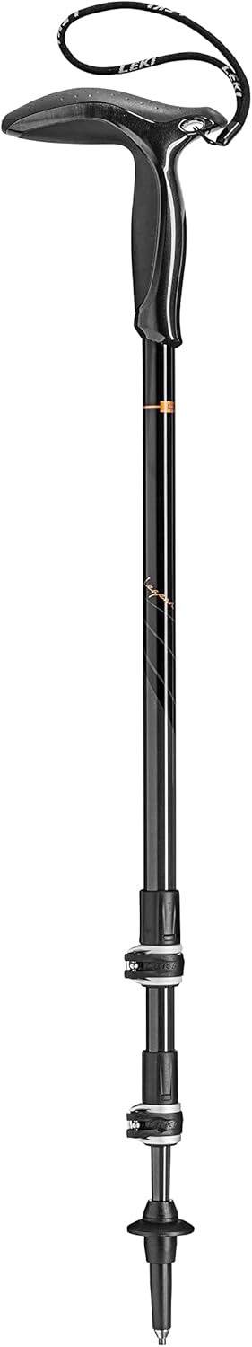 LEKI Black Series FX Carbon
