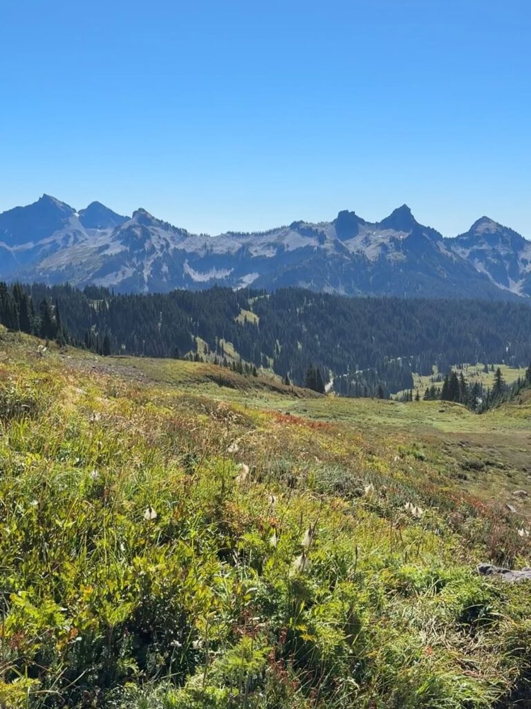 Paradise Point Trail