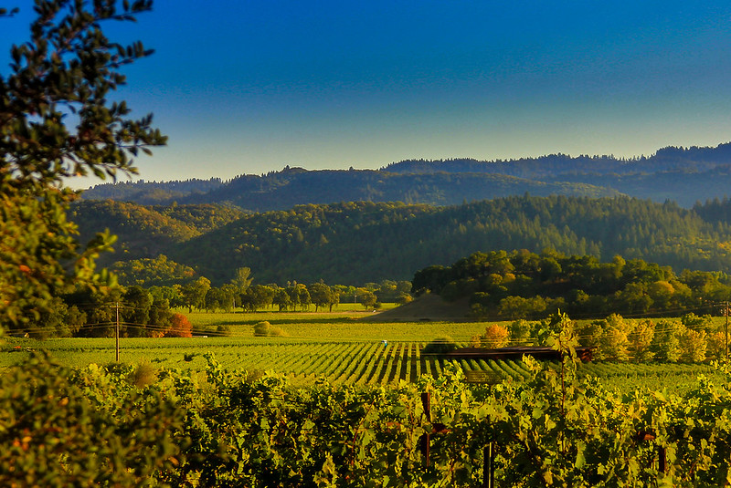 SILVERADO TRAIL, NAPA VALLEY, CALIFORNIA