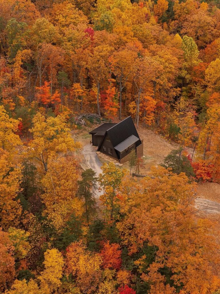 Fall color in the smokey mountains