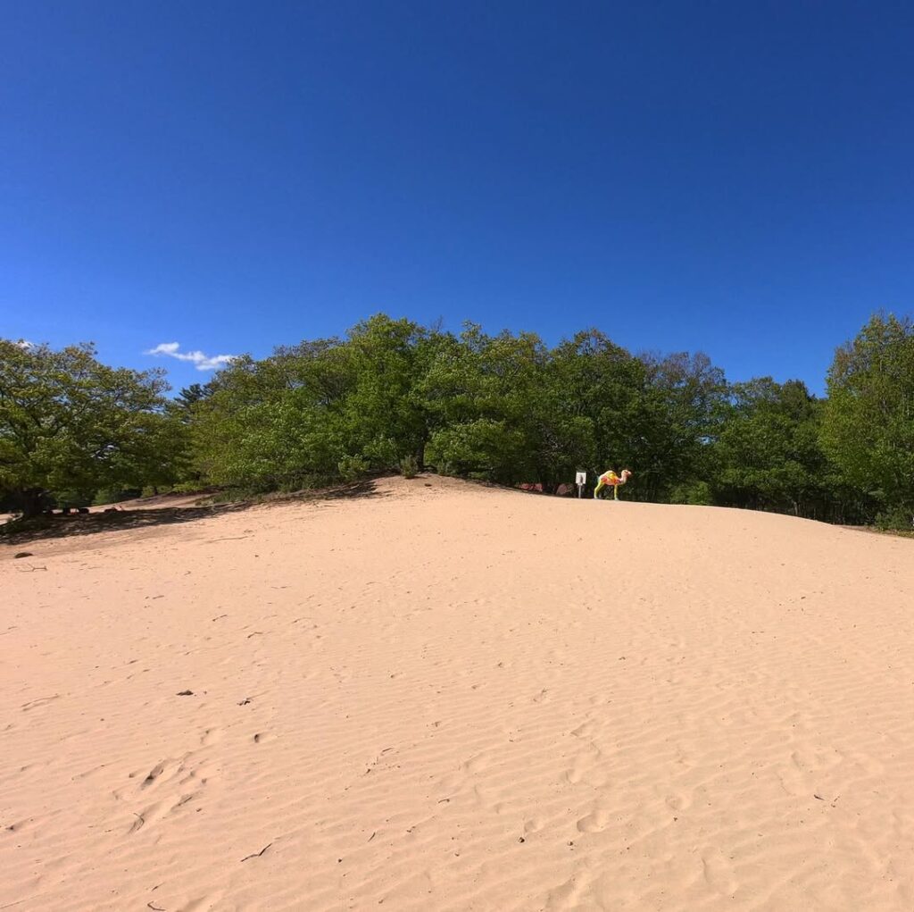 Desert Of Maine