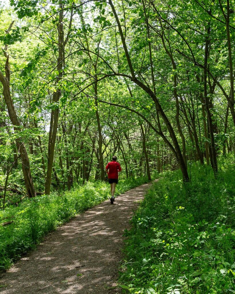 Kewaskum Maple-Oak Woods State Natural Area