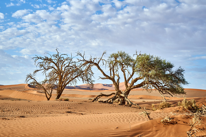 Africa Namibia