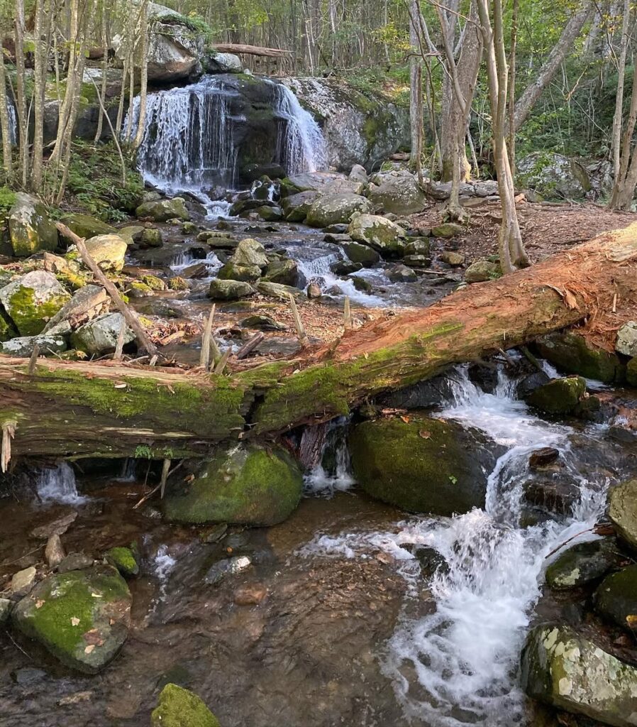 Apple Orchard Falls