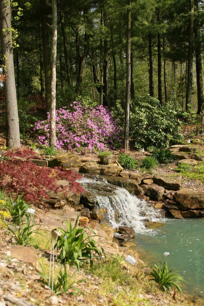 Azalea Path Arboretum & Botanical Gardens