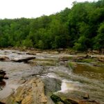 Beautiful Spots Inside Sweetwater Creek State Park That Most First-Time Visitors Never Find