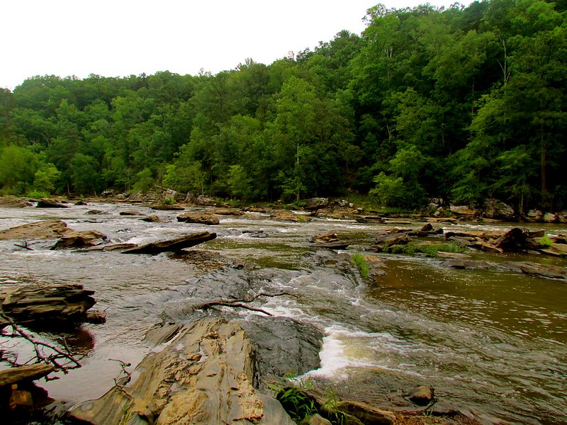 Beautiful Spots Inside Sweetwater Creek State Park That Most First-Time Visitors Never Find