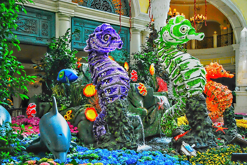 Bellagio Conservatory and Botanical Gardens Take a Slow, Scenic Walk Indoors