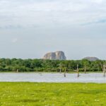 Best Solo Travel Destinations for Wildlife Encounters