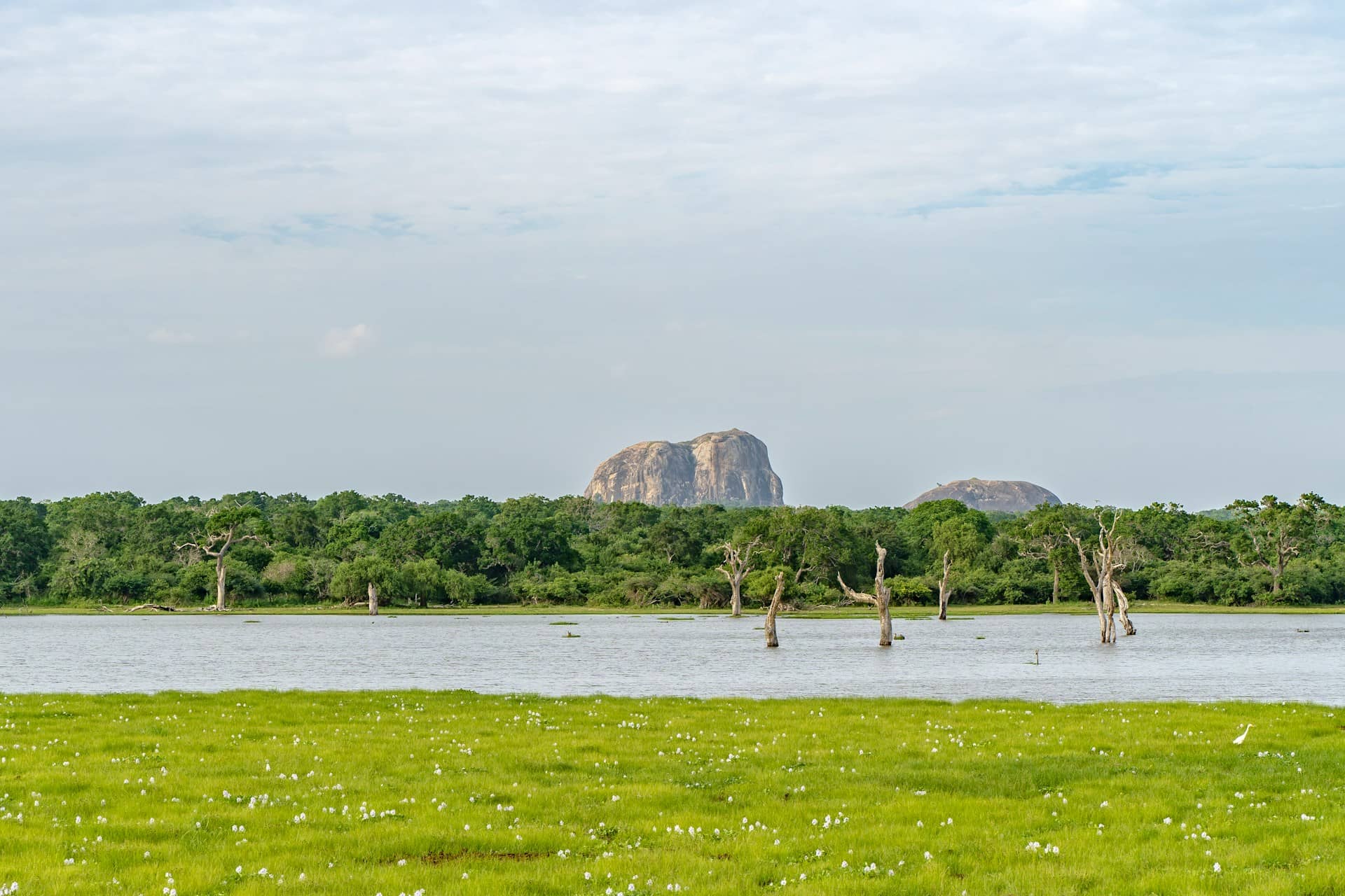 Best Solo Travel Destinations for Wildlife Encounters