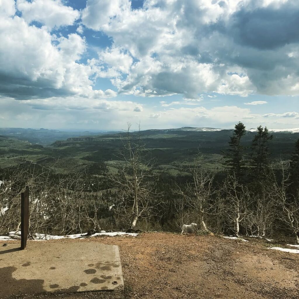 Black Mountain