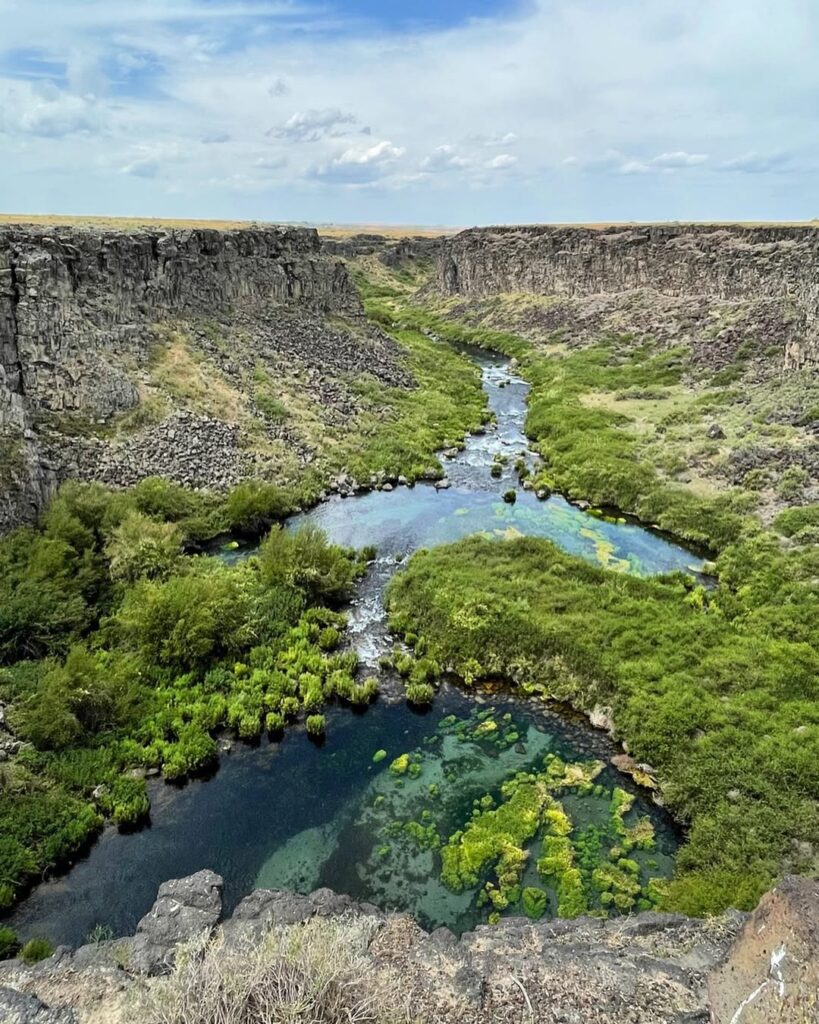 Box Canyon, Wendell