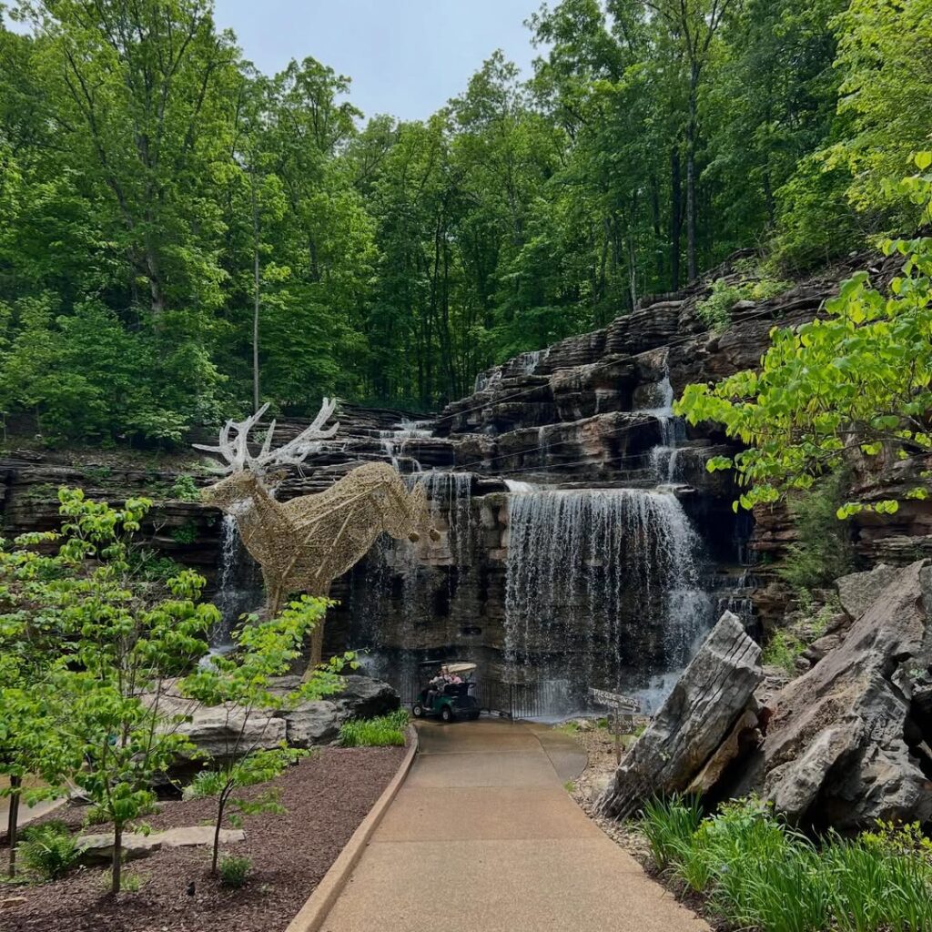 Branson