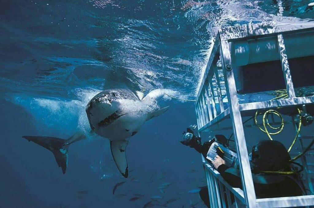 Cape Town, South Africa