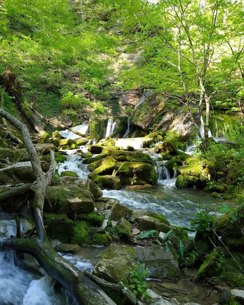 Cave Valley