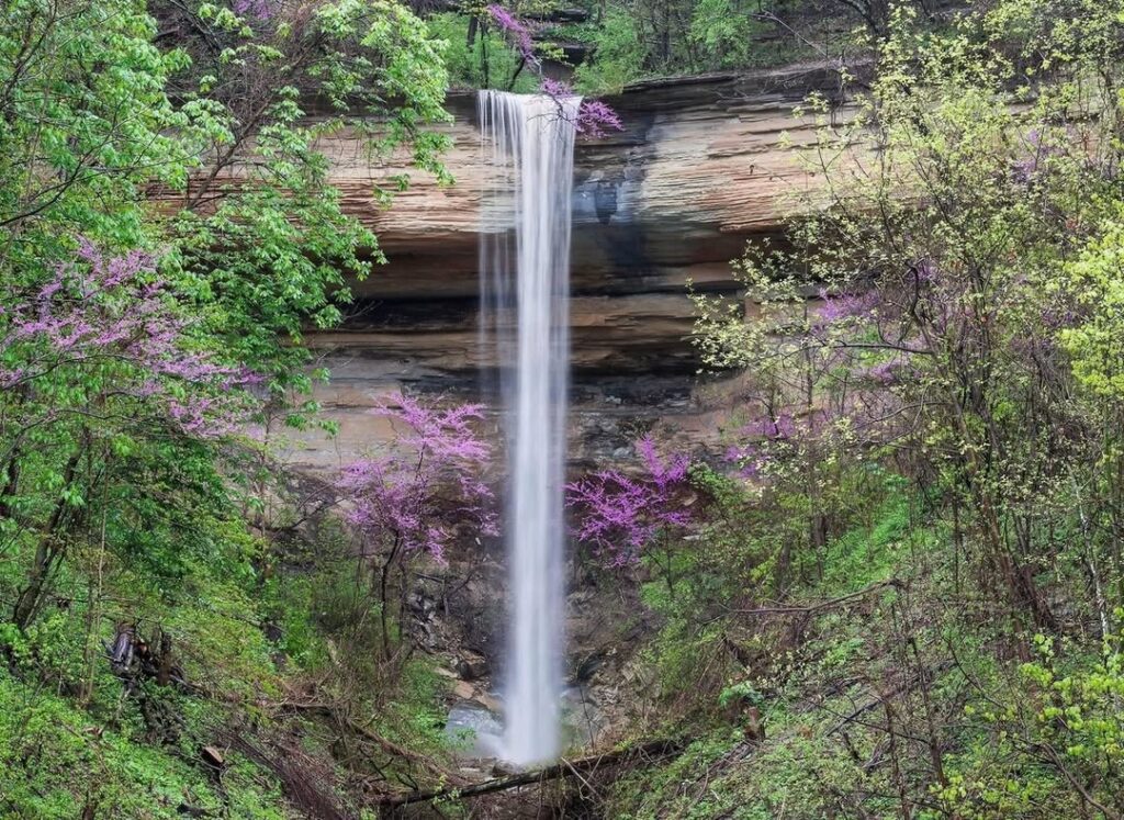 Clifty Falls