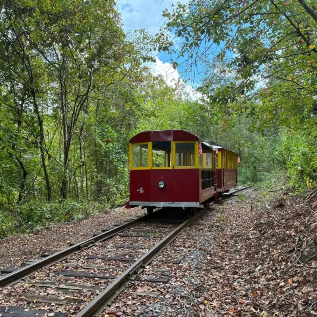 Craggy Mountain Line Rail