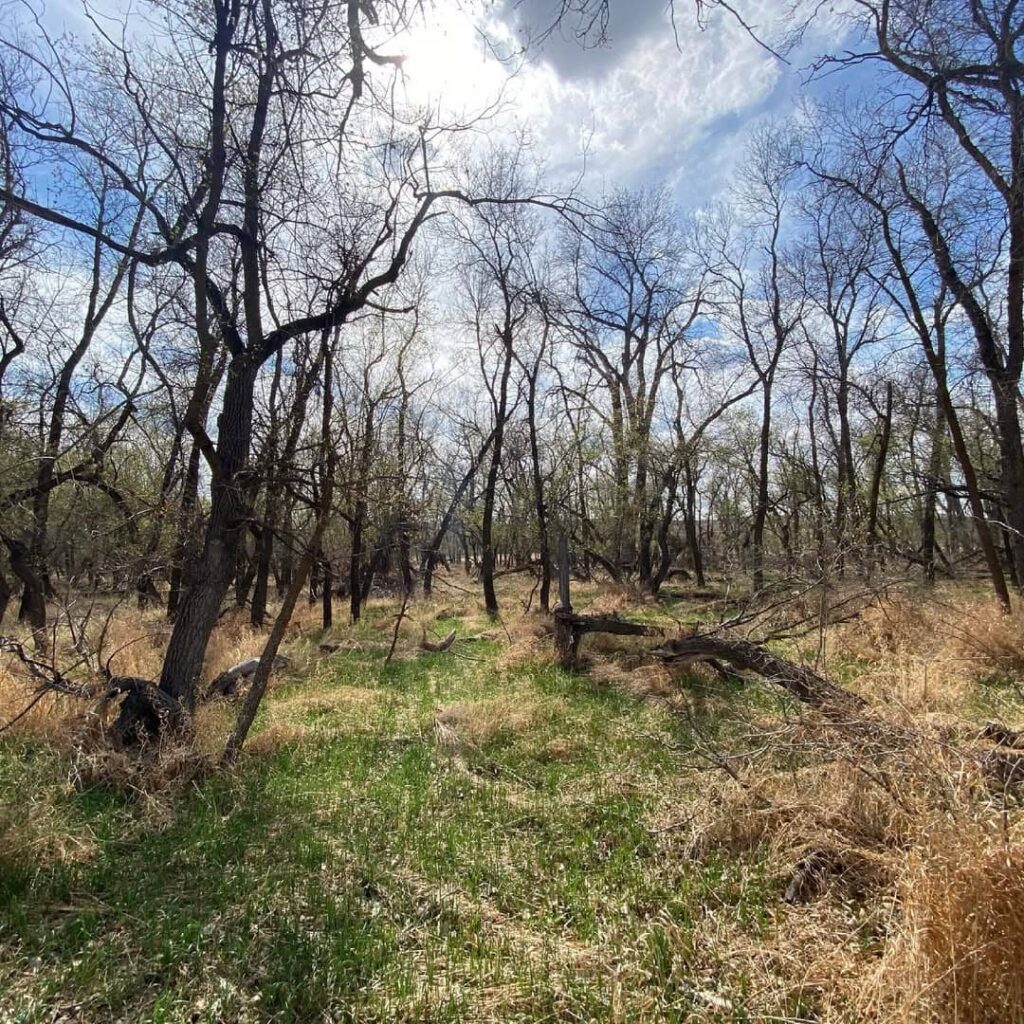Cross Ranch State Park