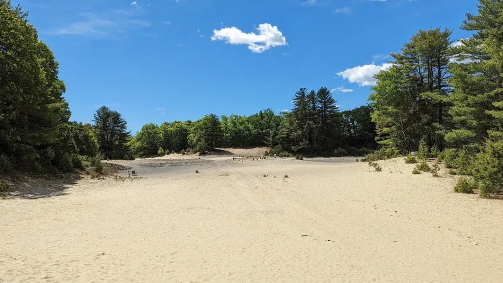 Desert of Maine, Maine