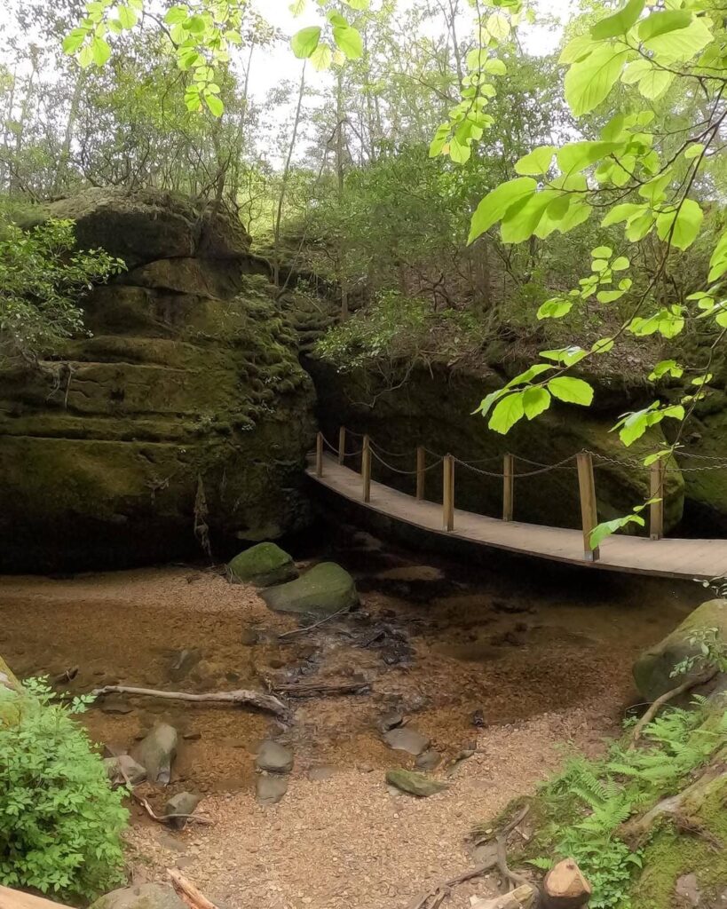 Dismals Canyon